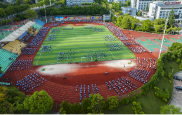 Picture (11).png