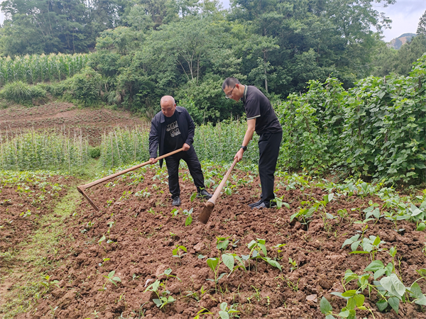 1718255593840479.png 图片1.png3.png