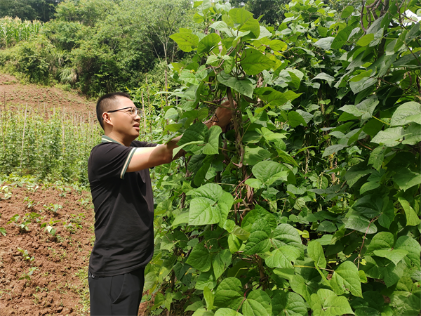 1718255601582872.png 图片1.png4.png