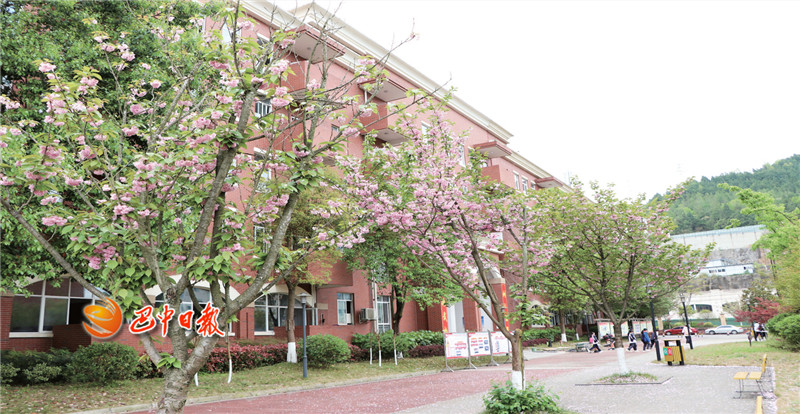 e80b711bcff84fe6a14b60bdaca850ef.jpg