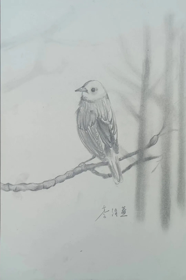 640 (1)_副本.jpg
