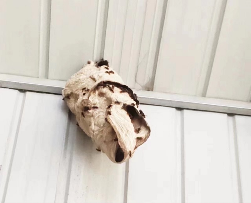 1723802544730435.jpg 图片1.jpg