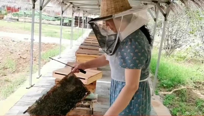 1724323430865049.jpg 图片1.jpg