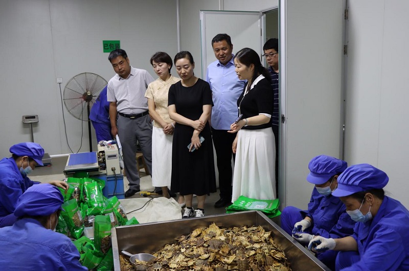 1725602084554671.jpg 图片2.jpg