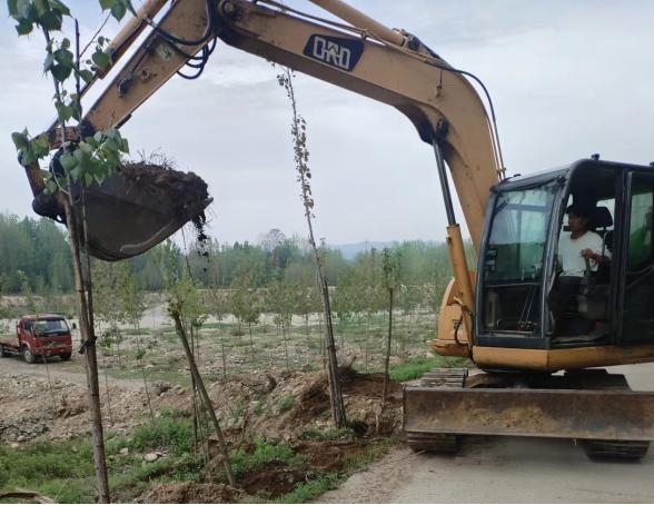 1726727643805831.jpg 图片1.jpg