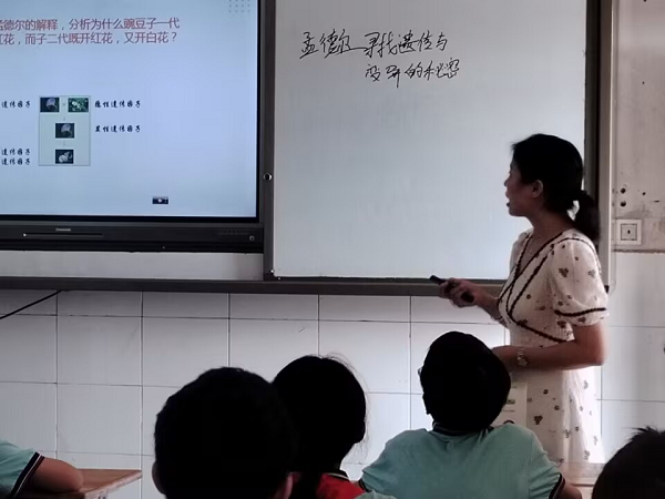ͼƬ2.png