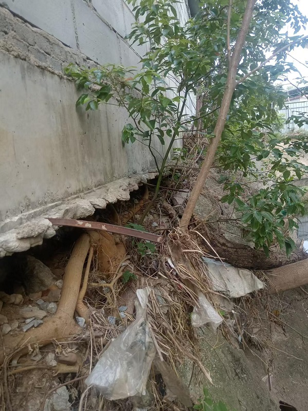 1727444039130763.jpg 图片1.jpg