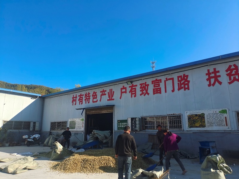 1729840638286343.jpg 图片2.jpg