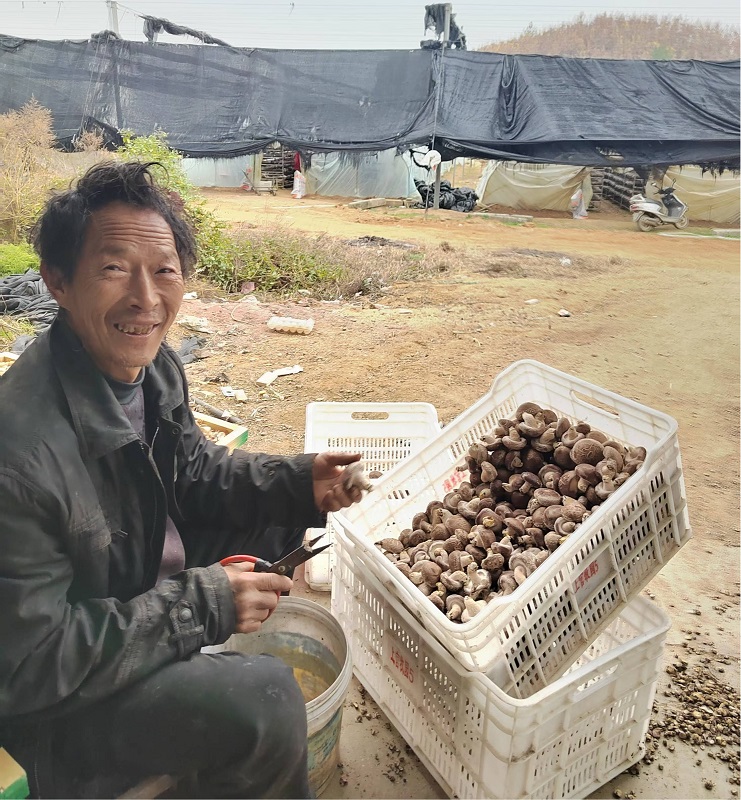 1733391102879306.jpg 图片2.jpg