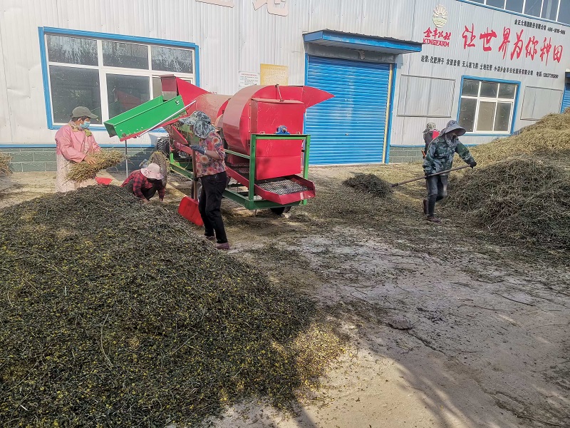 1734489280904183.jpg 图片2.jpg