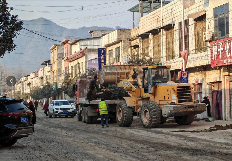 1734599016660210.jpg 图片2.jpg