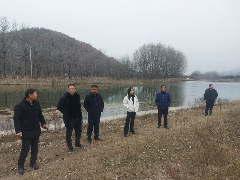 1734599595674415.jpg 图片1.jpg