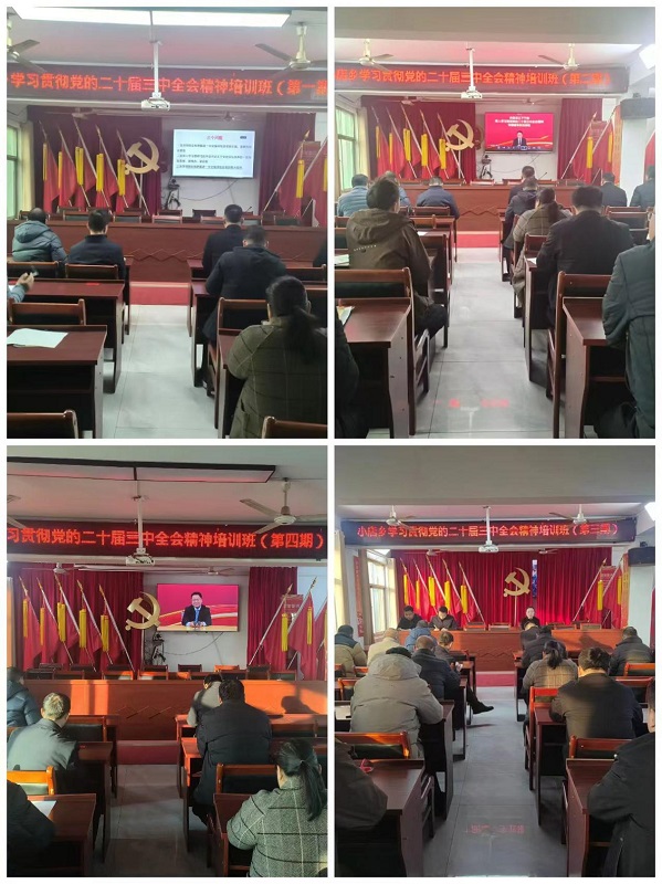 1735251062199096.jpg 图片1.jpg