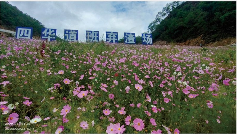 1736062030773569.jpg 图片4.jpg