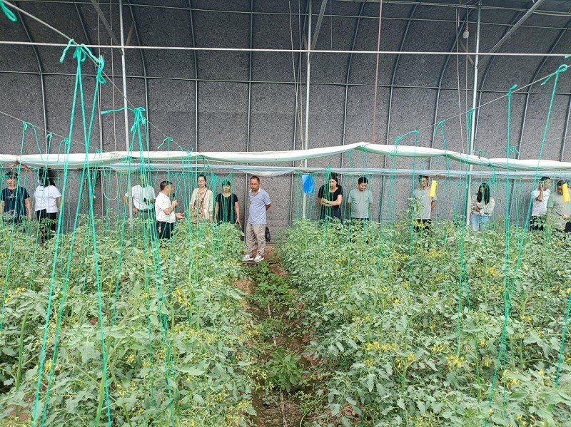 1736763121131957.jpg 图片1.jpg