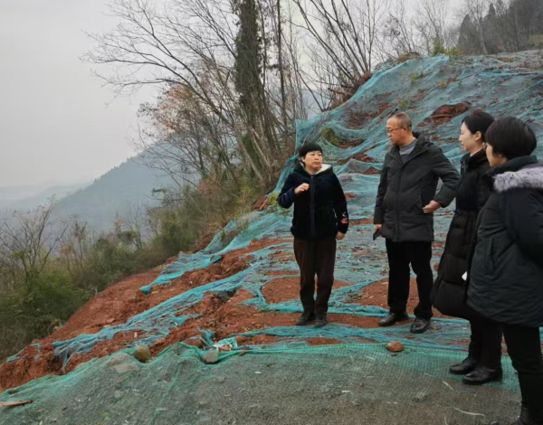 1737455108515530.png 图片3.png