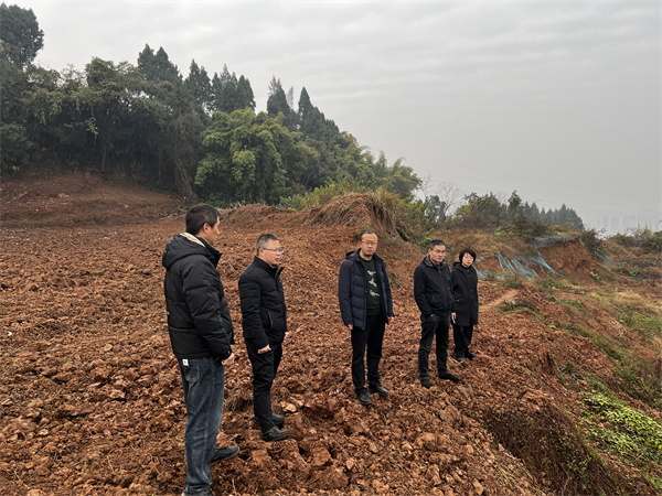 1737455145854504.png 图片4.png