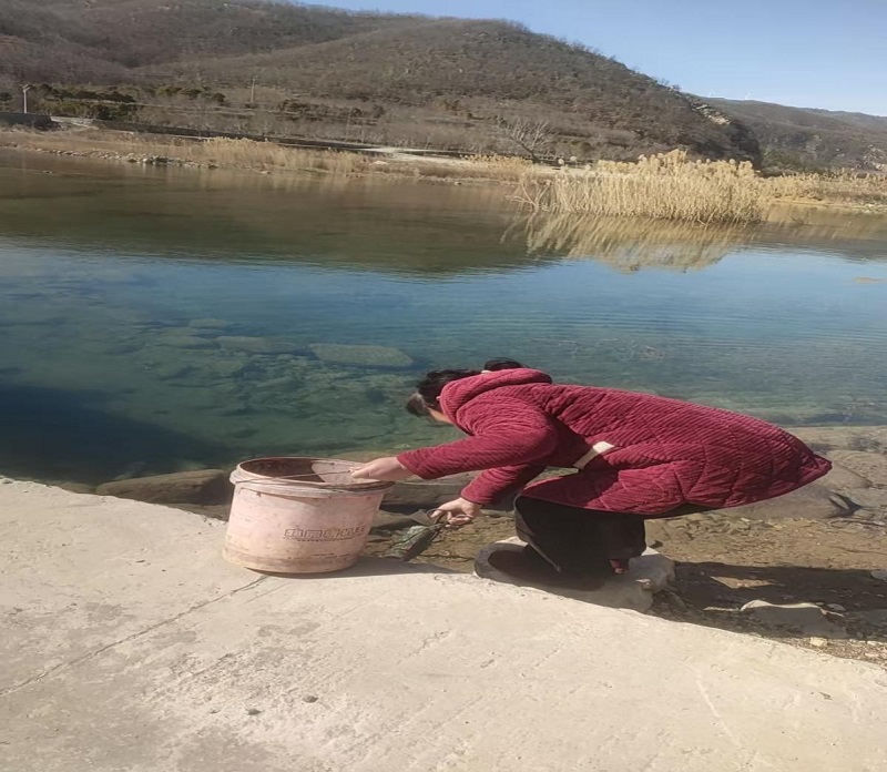 1739069081214338.jpg 图片1.jpg