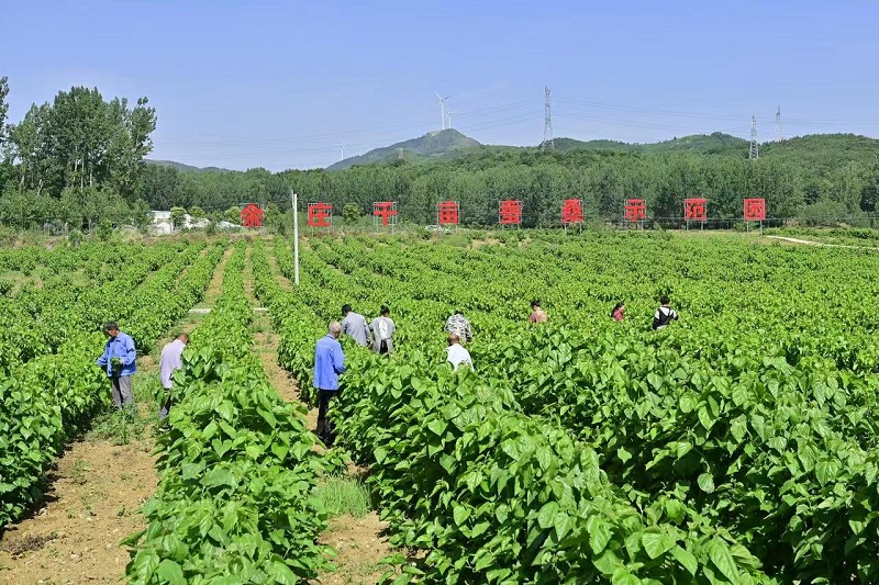 1739936263447142.jpg _cgi-bin_mmwebwx-bin_webwxgetmsgimg__undefinedMsgID=4270467209125688292undefinedskey=@crypt_2e0372c6_2f96ac3464ae96eeac21549c8a16eed1undefinedmmweb_appid=wx_webfilehelper.jpg