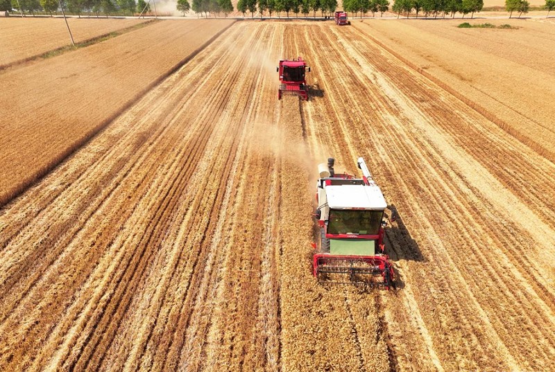 1739936295102813.jpg _cgi-bin_mmwebwx-bin_webwxgetmsgimg__undefinedMsgID=8320214085671422361undefinedskey=@crypt_2e0372c6_2f96ac3464ae96eeac21549c8a16eed1undefinedmmweb_appid=wx_webfilehelper.jpg