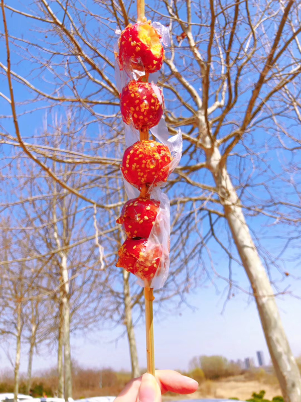 1740466324600875.png 图片1.png