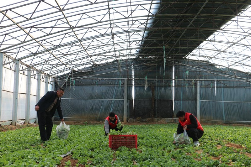 1740829722307384.jpg 图片1.jpg