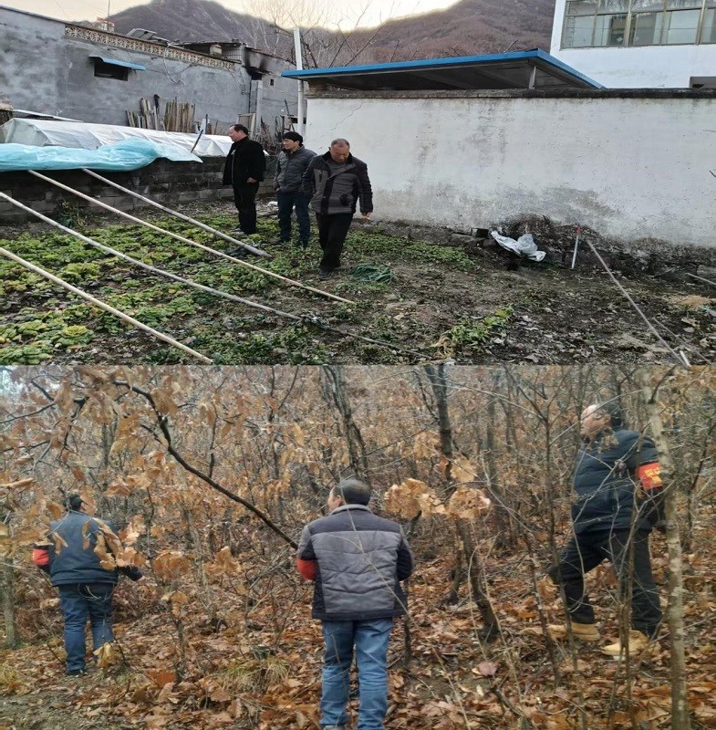 1741055207289848.jpg 图片1.jpg