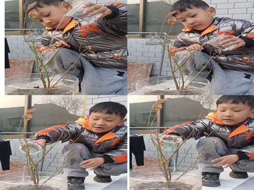 ͼƬ2.jpg