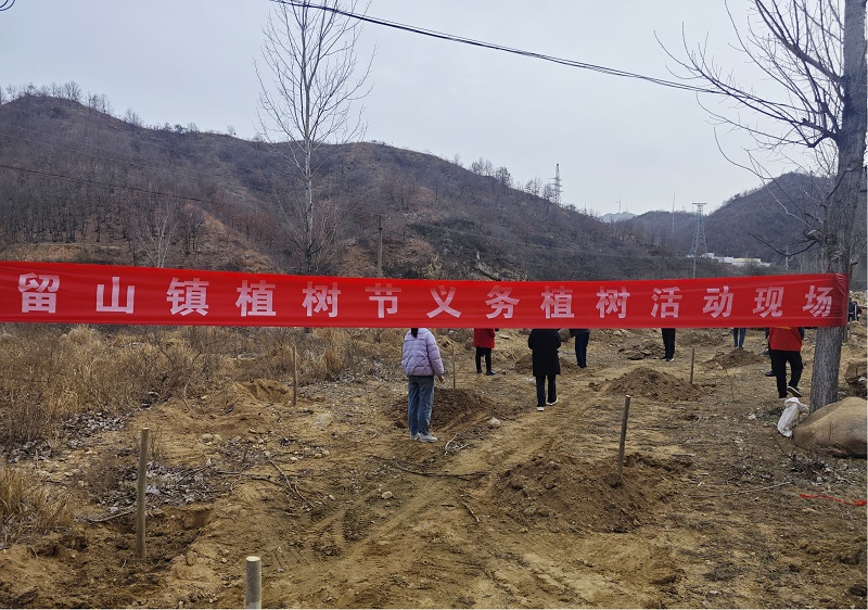 1741923827748300.jpg 图片1.jpg