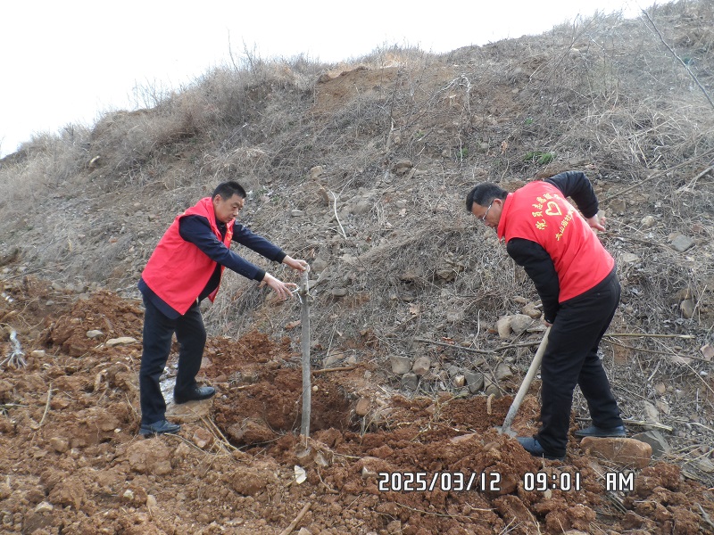 1741924198739200.jpg 图片2.jpg