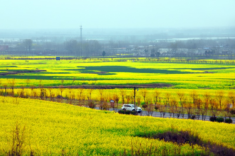 1742095403587324.jpg ͼƬ1.jpg