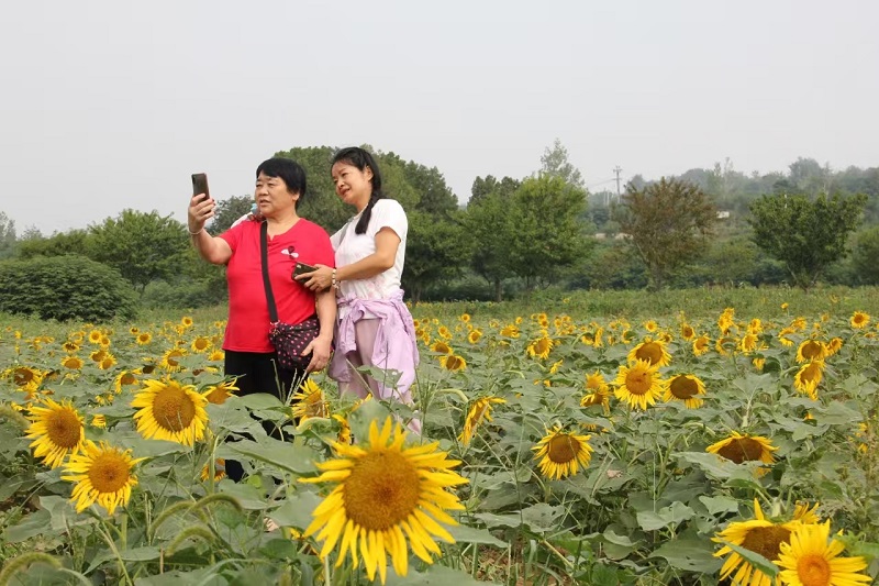 1742095451641542.jpg ͼƬ3.jpg