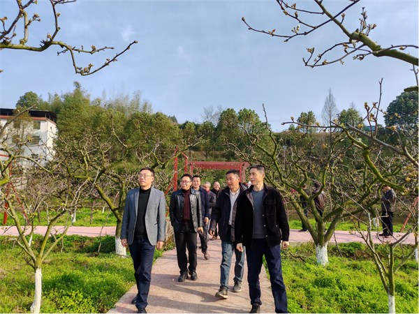 1742813884325802.png 图片1.png