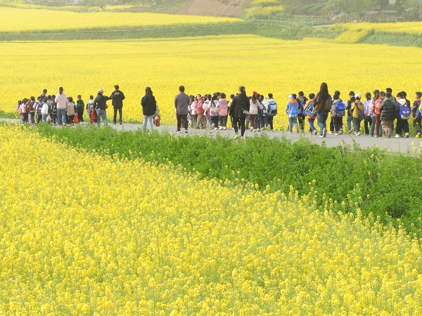 DSCN1867.jpg