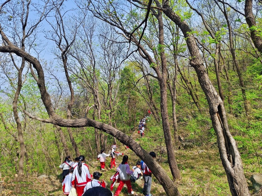 1743738259433342.jpg 1743737718558.jpg