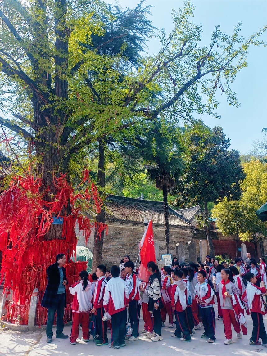 1743738322845722.jpg 1743737727076.jpg