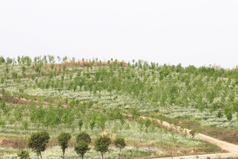 1744116405107569.jpg 图片1.jpg