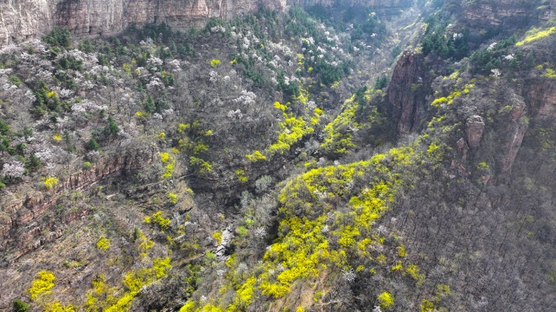 1744118244589319.jpg 图片3.jpg