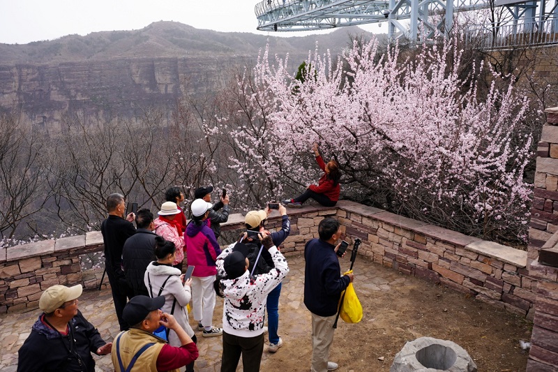 1744118258920916.jpg 图片4.jpg