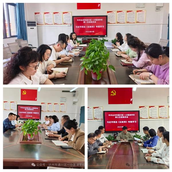 1744343994253291.jpg 2.jpg