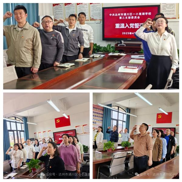 1744344323127667.jpg 1.jpg