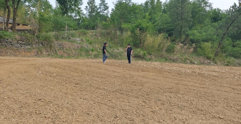 1747046347146718.jpg 图片2.jpg