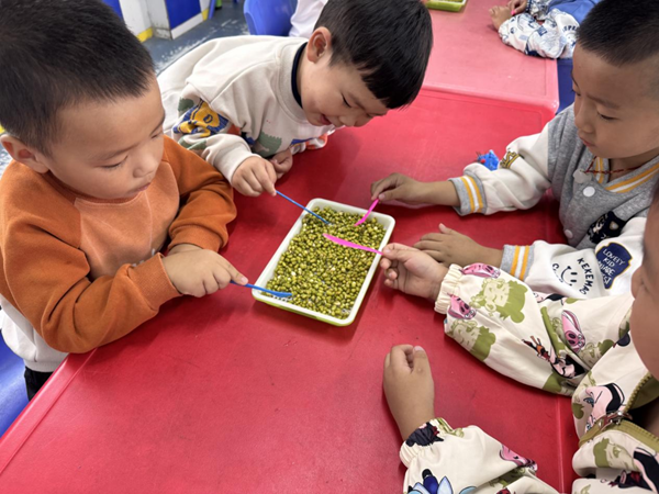 1761213016247107.png 图片 72.png