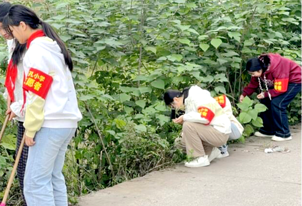 1761810412106376.png 图片 2.png