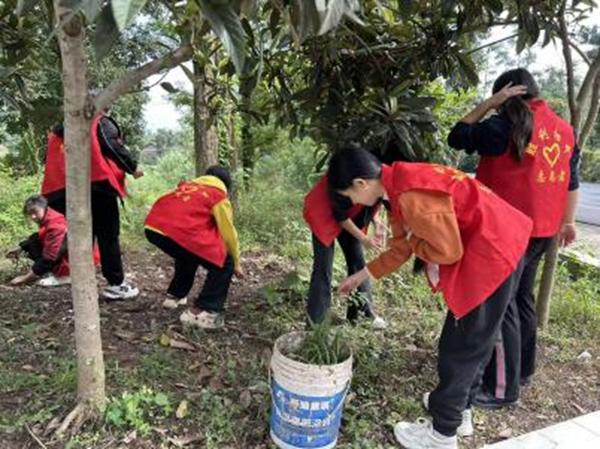 1761814838298264.png 图片 4.png