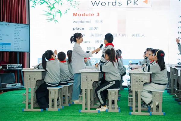 1762248184251624.jpg 4.jpg