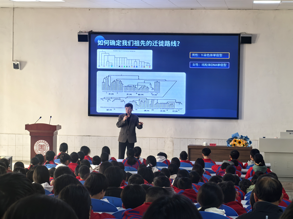 1762366185631087.png 图片 4.png