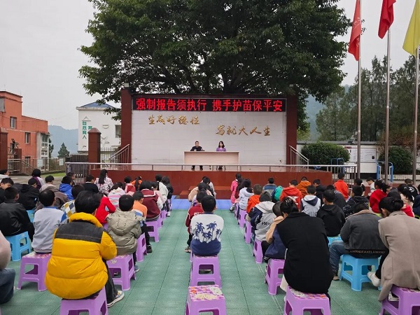 1762569671992034.jpg 640 (2).jpg