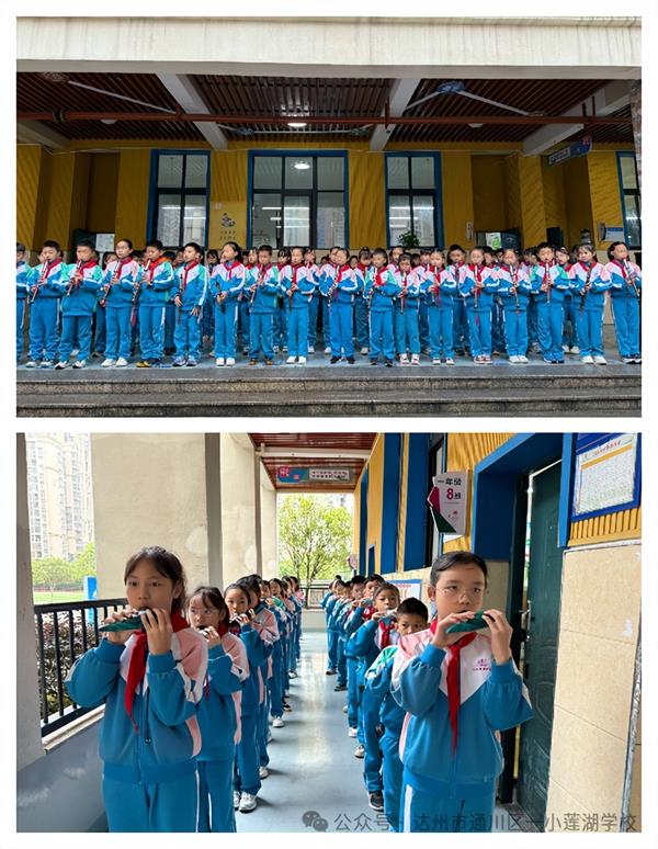 1762610771200029.jpg 1.jpg