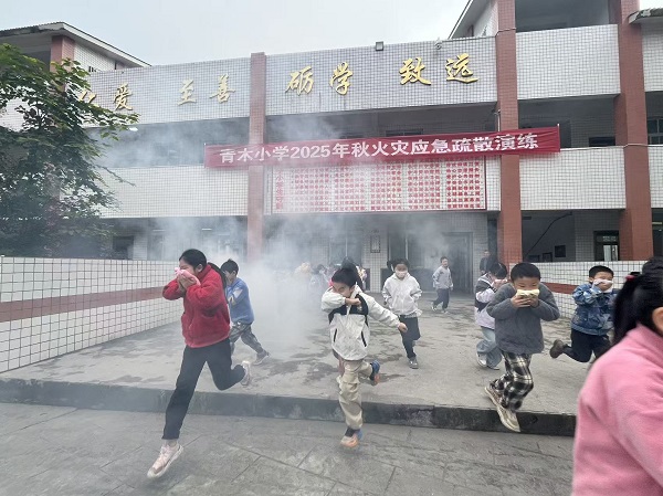 1762852645450026.jpg 2af8221edccc4e3ad8549ebbb1cb4e97.jpg